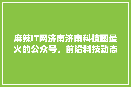 麻辣IT网济南济南科技圈最火的公众号，前沿科技动态！ 搜狗SEO