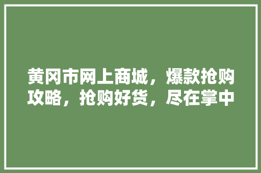 黄冈市网上商城，爆款抢购攻略，抢购好货，尽在掌中！ 必应SEO
