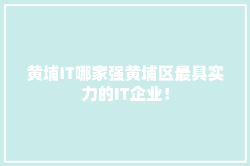 黄埔IT哪家强黄埔区最具实力的IT企业！ 神马SEO