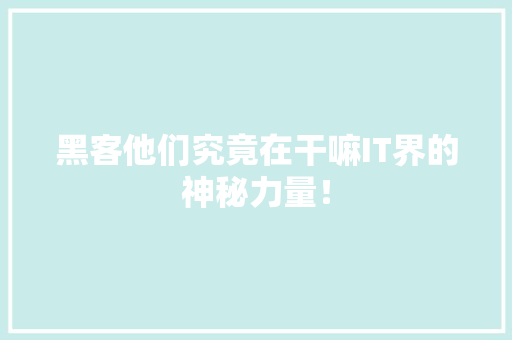 黑客他们究竟在干嘛IT界的神秘力量！ 百度SEO