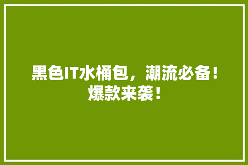 黑色IT水桶包，潮流必备！爆款来袭！ 必应SEO
