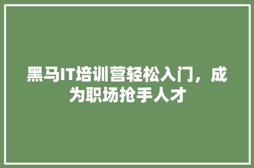 黑马IT培训营轻松入门，成为职场抢手人才 神马SEO