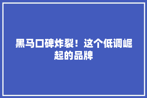 黑马口碑炸裂！这个低调崛起的品牌 百度SEO