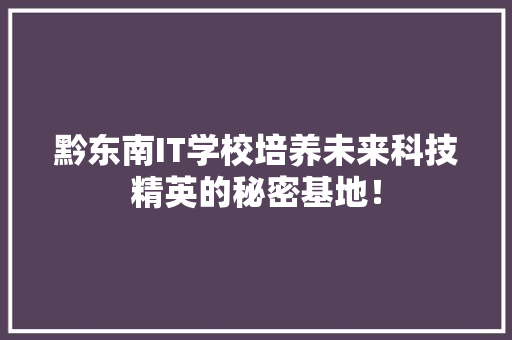 黔东南IT学校培养未来科技精英的秘密基地！ 神马SEO