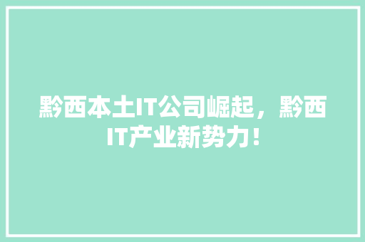 黔西本土IT公司崛起，黔西IT产业新势力！ GoogleSEO