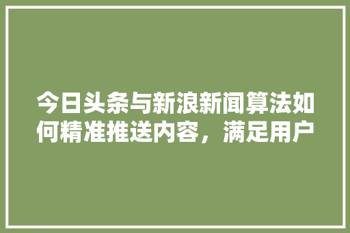 今日头条与新浪新闻算法如何精准推送内容，满足用户个化需求 必应SEO