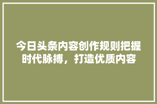 今日头条内容创作规则把握时代脉搏，打造优质内容 搜狗SEO