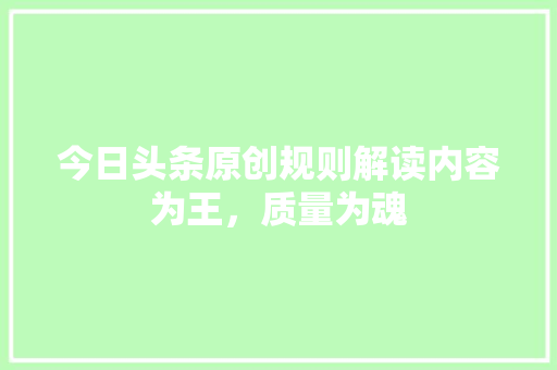 今日头条原创规则解读内容为王，质量为魂 百度SEO