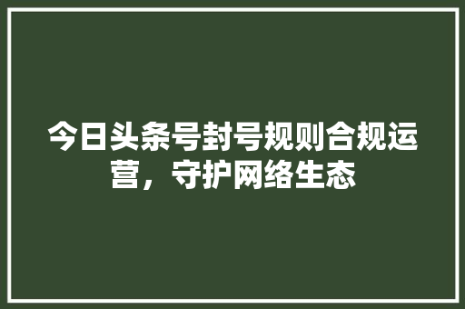今日头条号封号规则合规运营，守护网络生态 神马SEO
