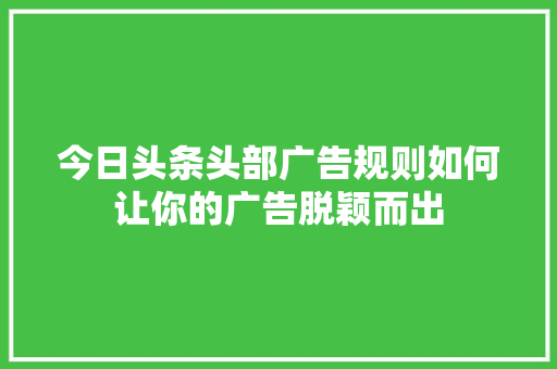 今日头条头部广告规则如何让你的广告脱颖而出 神马SEO