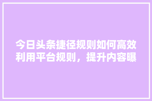 今日头条捷径规则如何高效利用平台规则，提升内容曝光率 搜狗SEO
