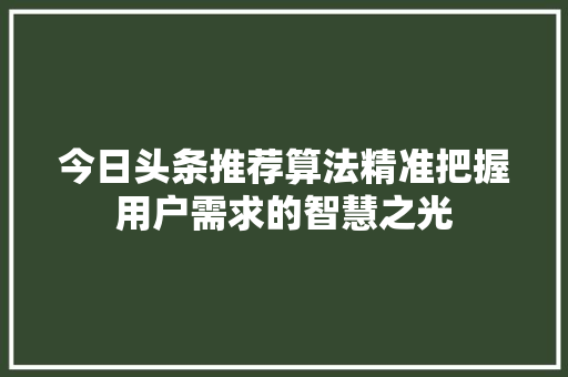 今日头条推荐算法精准把握用户需求的智慧之光 百度SEO