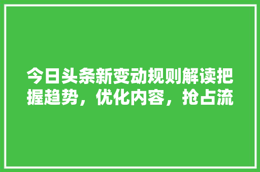 今日头条新变动规则解读把握趋势，优化内容，抢占流量制高点 必应SEO