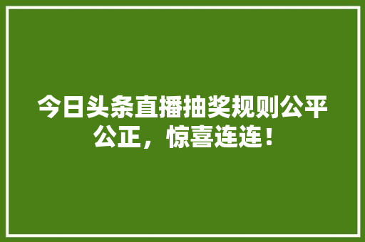 今日头条直播抽奖规则公平公正，惊喜连连！ GoogleSEO