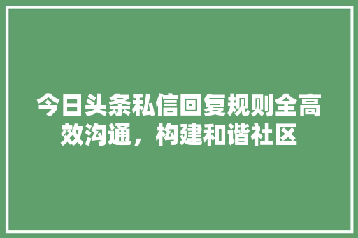 今日头条私信回复规则全高效沟通，构建和谐社区 神马SEO
