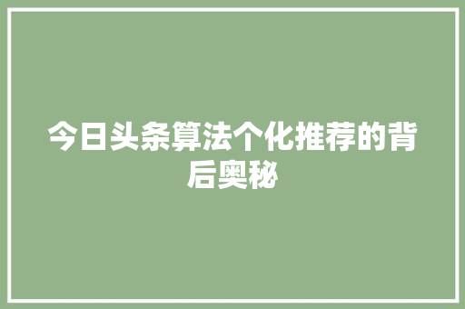 今日头条算法个化推荐的背后奥秘 百度SEO