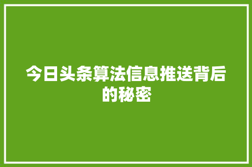 今日头条算法信息推送背后的秘密 百度SEO