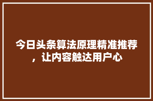 今日头条算法原理精准推荐，让内容触达用户心 百度SEO