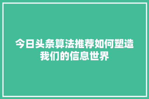 今日头条算法推荐如何塑造我们的信息世界 百度SEO