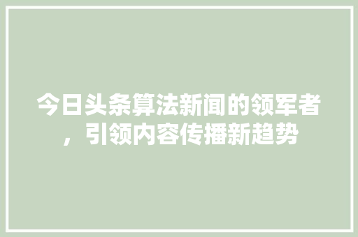 今日头条算法新闻的领军者，引领内容传播新趋势 神马SEO