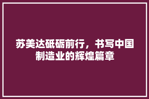 苏美达砥砺前行，书写中国制造业的辉煌篇章 GoogleSEO