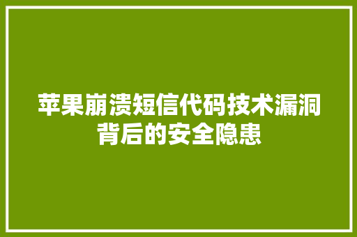 苹果崩溃短信代码技术漏洞背后的安全隐患 神马SEO