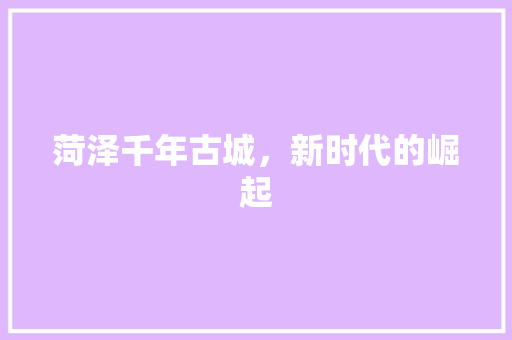 菏泽千年古城，新时代的崛起 神马SEO
