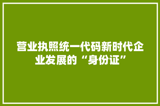 营业执照统一代码新时代企业发展的“身份证” GoogleSEO