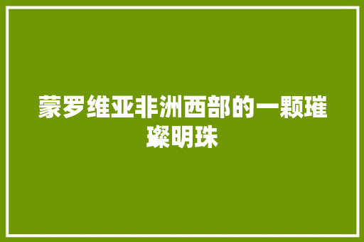 蒙罗维亚非洲西部的一颗璀璨明珠 必应SEO