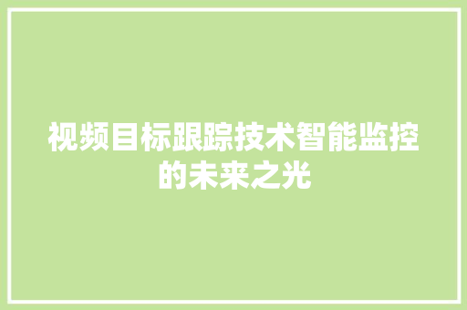 视频目标跟踪技术智能监控的未来之光 神马SEO