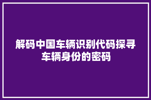 解码中国车辆识别代码探寻车辆身份的密码 必应SEO
