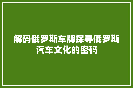 解码俄罗斯车牌探寻俄罗斯汽车文化的密码 GoogleSEO