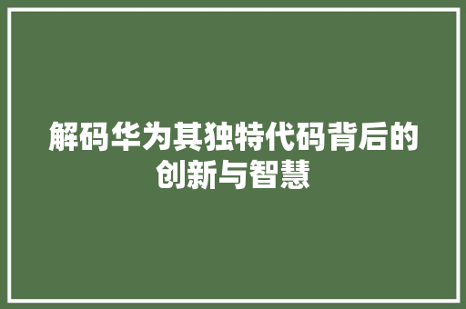 解码华为其独特代码背后的创新与智慧 GoogleSEO