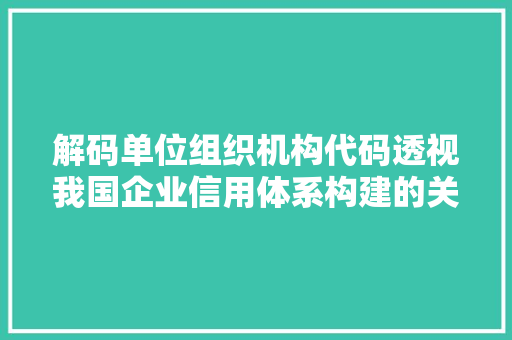 解码单位组织机构代码透视我国企业信用体系构建的关键一环 神马SEO
