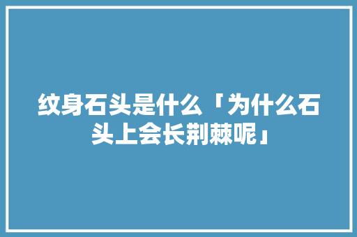 纹身石头是什么「为什么石头上会长荆棘呢」 纹身石头是什么「为什么石头上会长荆棘呢」 必应SEO