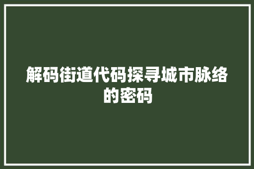 解码街道代码探寻城市脉络的密码 必应SEO