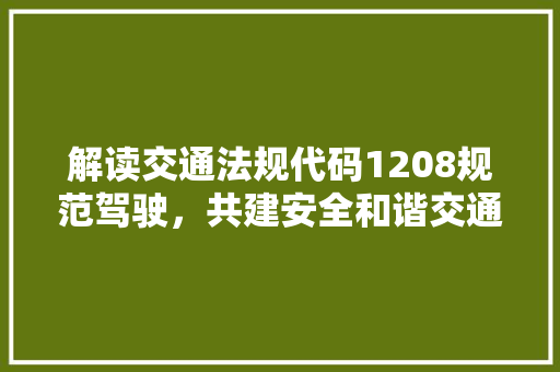 解读交通法规代码1208规范驾驶，共建安全和谐交通环境 必应SEO