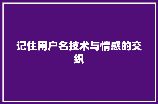 记住用户名技术与情感的交织 必应SEO