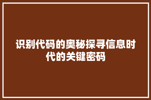 识别代码的奥秘探寻信息时代的关键密码 百度SEO