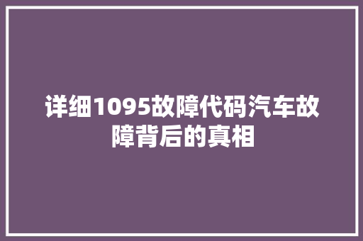 详细1095故障代码汽车故障背后的真相 GoogleSEO