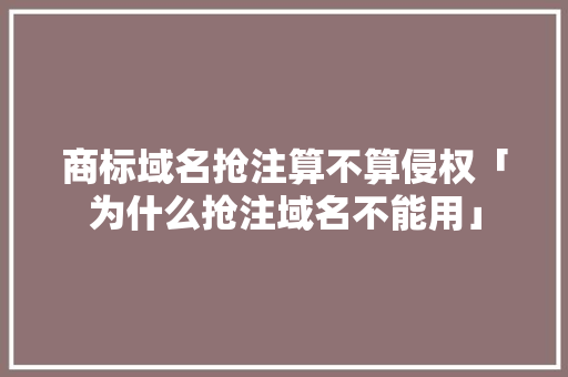 商标域名抢注算不算侵权「为什么抢注域名不能用」 商标域名抢注算不算侵权「为什么抢注域名不能用」 百度SEO