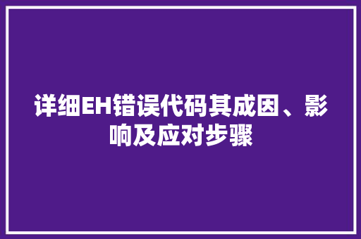 详细EH错误代码其成因、影响及应对步骤 必应SEO