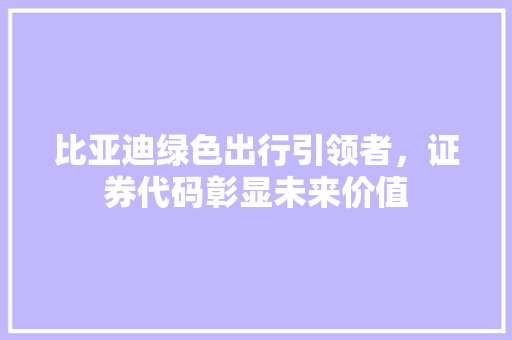 比亚迪绿色出行引领者，证券代码彰显未来价值 神马SEO