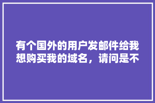 有个国外的用户发邮件给我想购买我的域名，请问是不是骗人的「为什么域名要买VIP」 有个国外的用户发邮件给我想购买我的域名，请问是不是骗人的「为什么域名要买VIP」 必应SEO