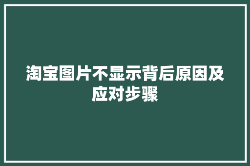 淘宝图片不显示背后原因及应对步骤 百度SEO