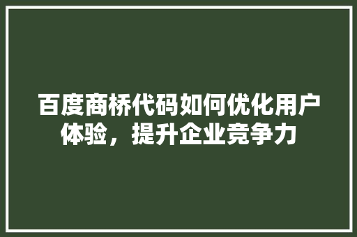 百度商桥代码如何优化用户体验，提升企业竞争力 神马SEO