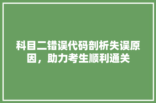 科目二错误代码剖析失误原因，助力考生顺利通关 百度SEO