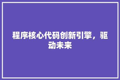 程序核心代码创新引擎，驱动未来 神马SEO