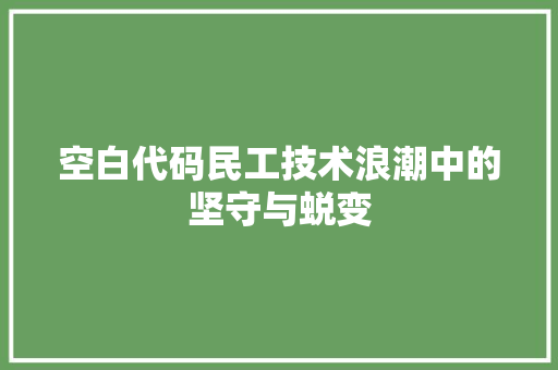 空白代码民工技术浪潮中的坚守与蜕变 必应SEO