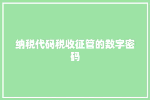 纳税代码税收征管的数字密码 GoogleSEO